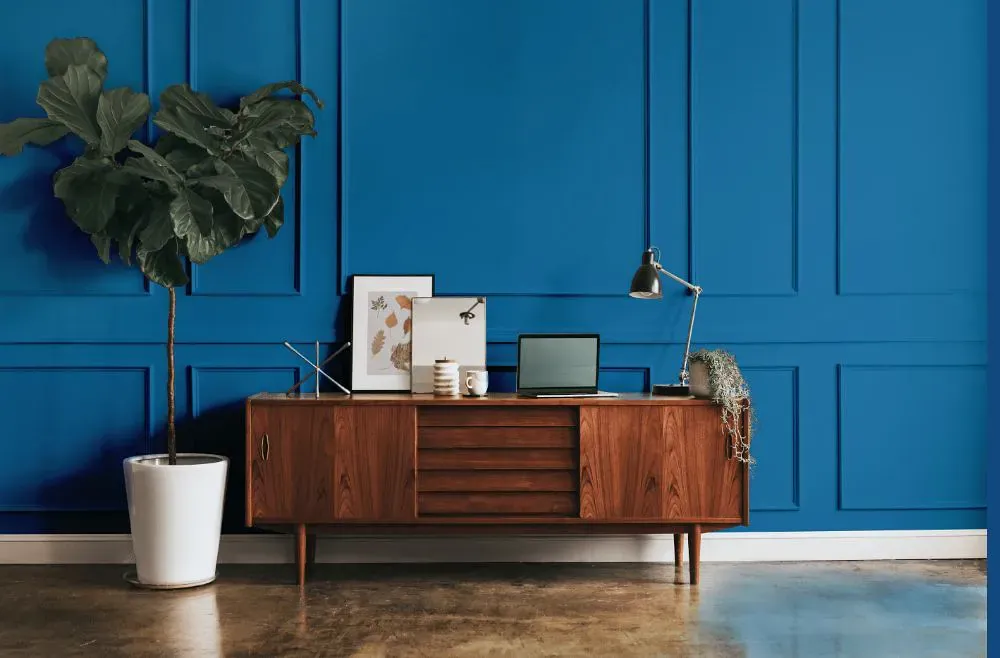 Benjamin Moore Blue Macaw modern interior
