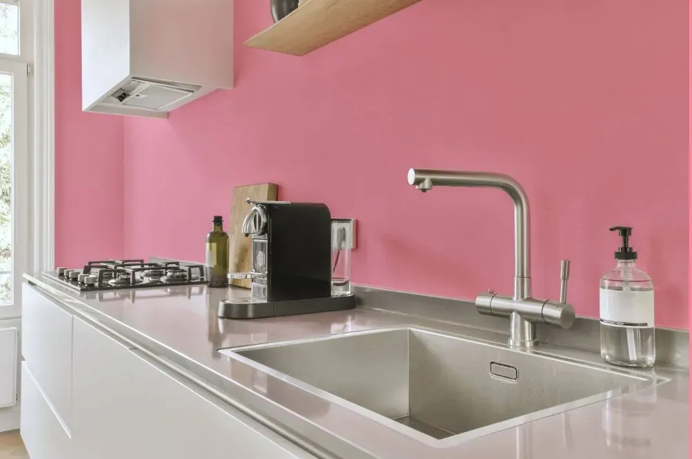 Benjamin Moore Blush Tone kitchen painted backsplash