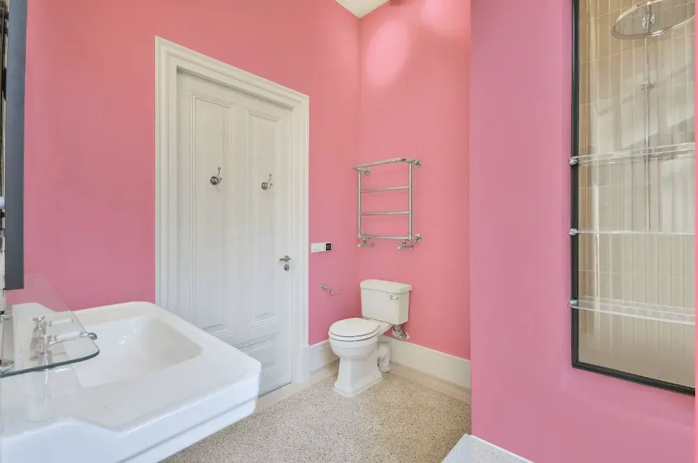 Benjamin Moore Blush Tone bathroom