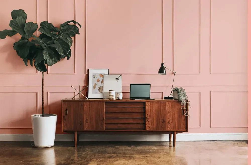 Benjamin Moore Blushing Brilliance modern interior