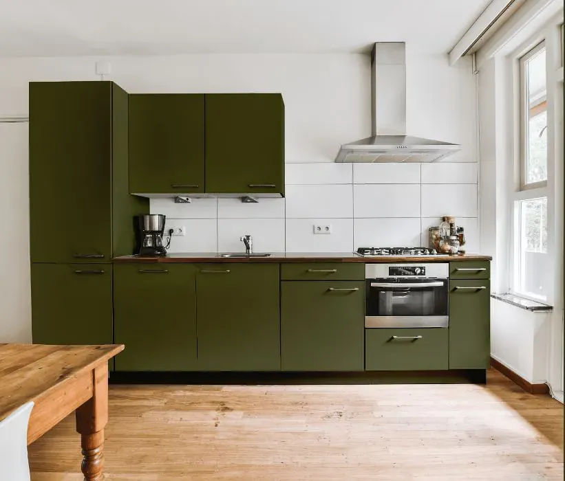 Benjamin Moore Bonsai kitchen cabinets