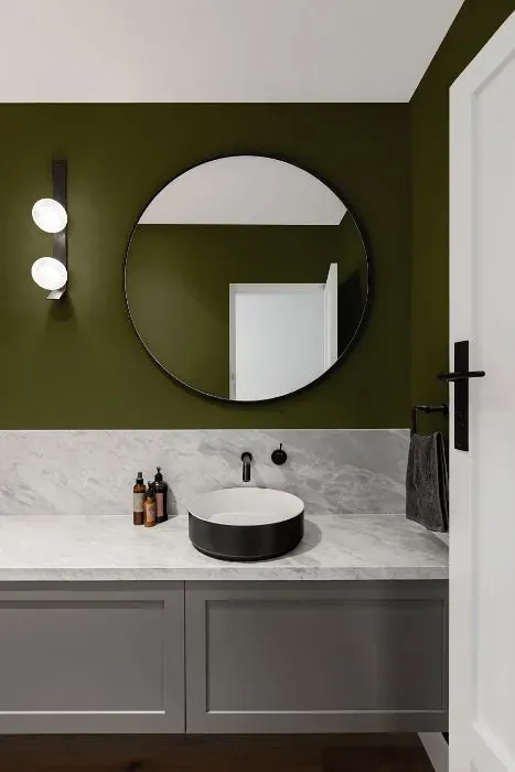 Benjamin Moore Bonsai minimalist bathroom