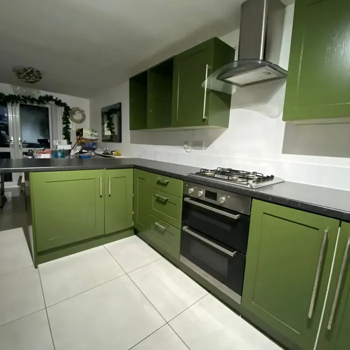 Benjamin Moore Bonsai kitchen cabinets paint review