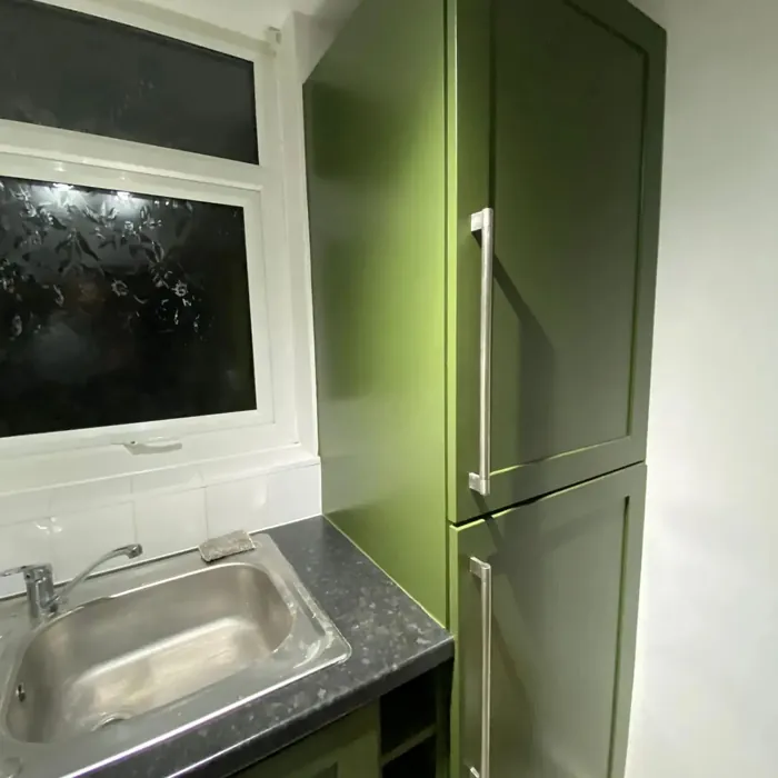 Benjamin Moore CC-666 kitchen cabinets color