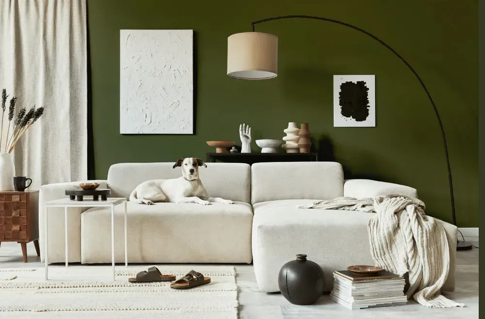 Benjamin Moore Bonsai cozy living room