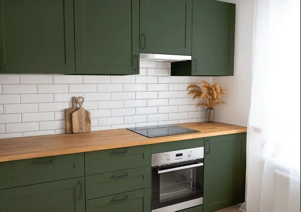 Benjamin Moore Boreal Forest kitchen cabinets