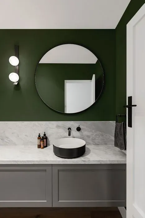 Benjamin Moore Boreal Forest minimalist bathroom