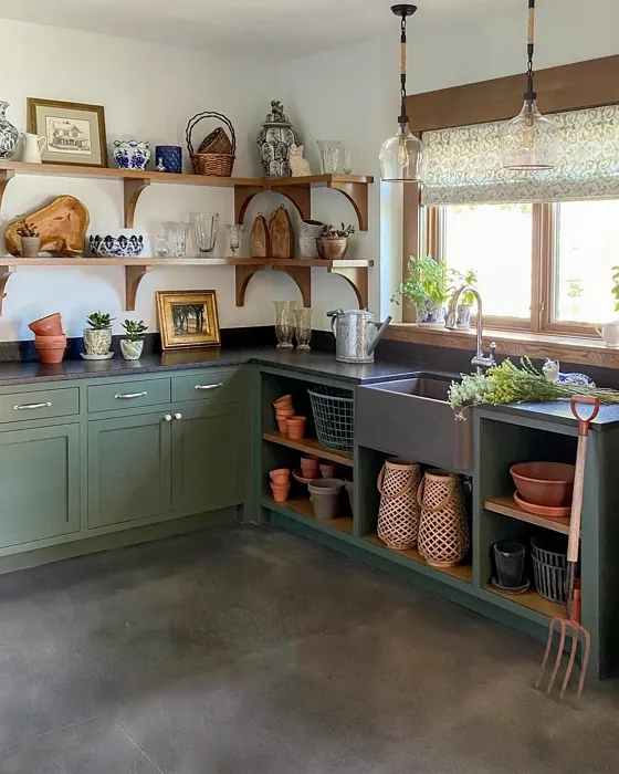 Benjamin Moore Boreal Forest kitchen cabinets color
