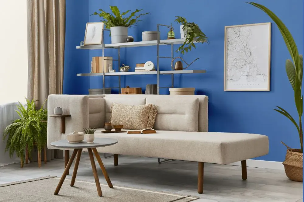 Benjamin Moore Brazilian Blue living room