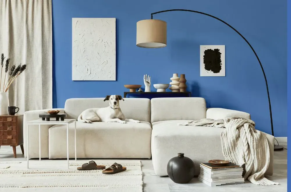 Benjamin Moore Brazilian Blue cozy living room