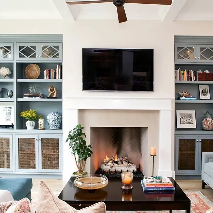 Brewster Gray modern living room paint