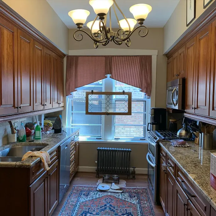 Brick House Tan kitchen interior