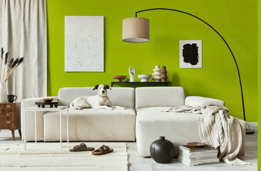 Benjamin Moore Bright Lime cozy living room