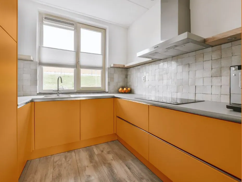Benjamin Moore Brilliant Amber small kitchen cabinets