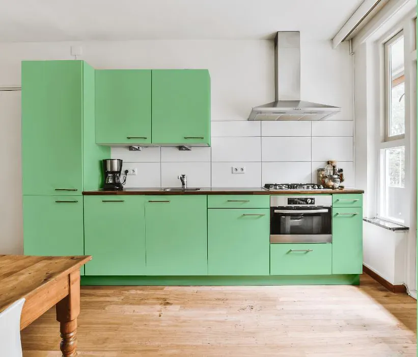 Benjamin Moore Bud Green kitchen cabinets