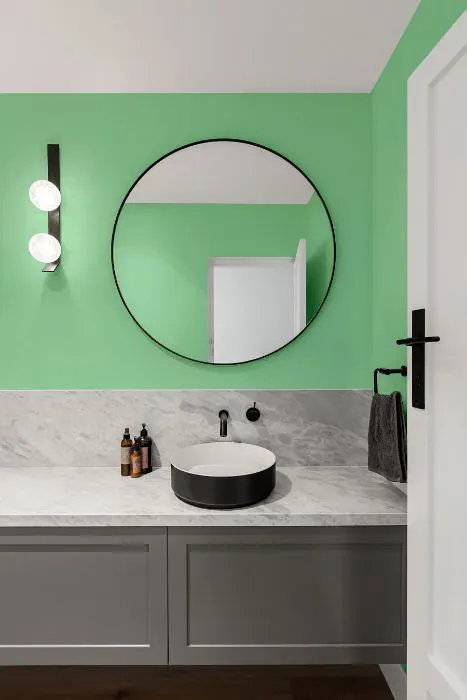 Benjamin Moore Bud Green minimalist bathroom