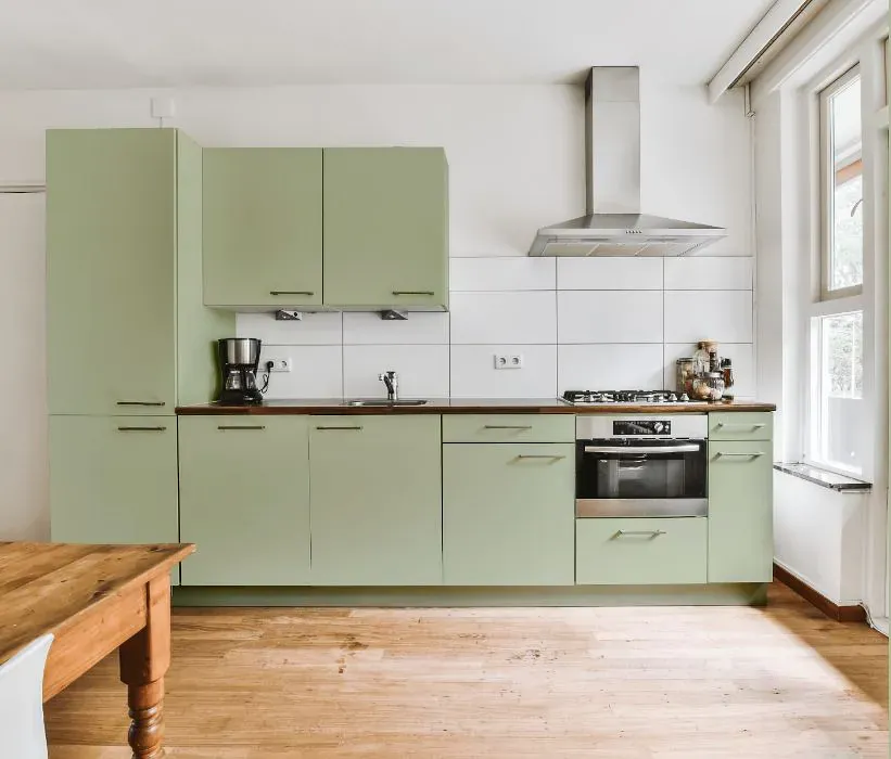Benjamin Moore Budding Green kitchen cabinets