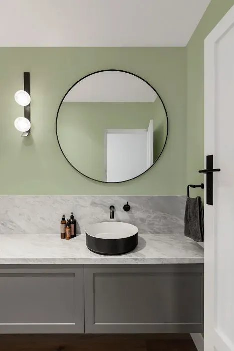 Benjamin Moore Budding Green minimalist bathroom