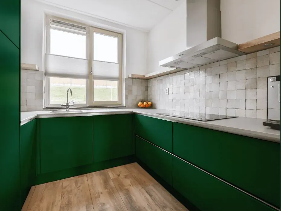 Benjamin Moore Buffett Green small kitchen cabinets