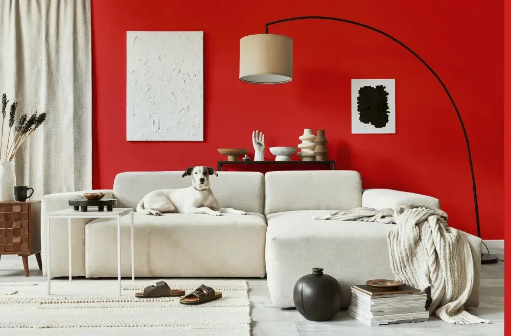 Benjamin Moore Bull's Eye Red cozy living room