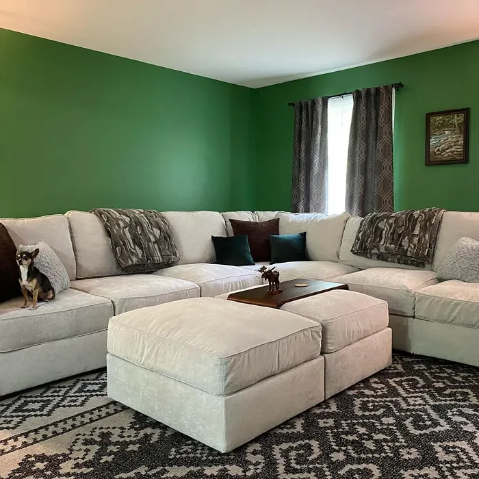 Bunker Hill Green Living Room
