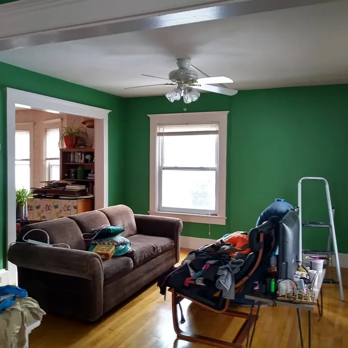 Bunker Hill Green living room color