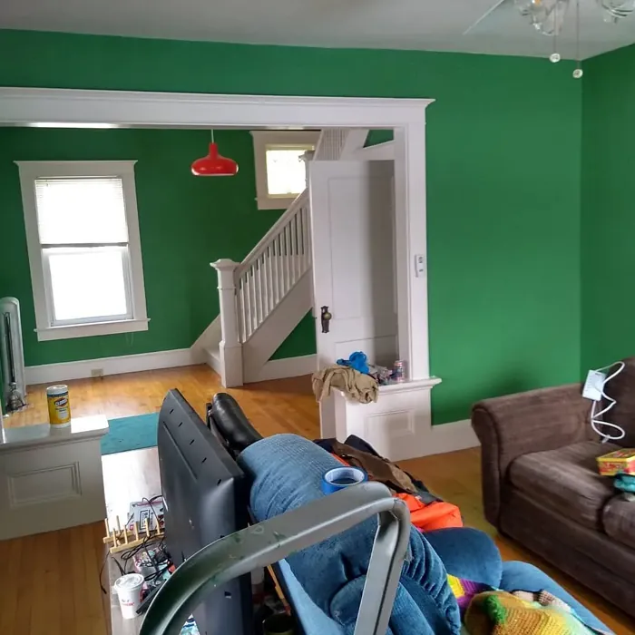 Bunker Hill Green living room color review