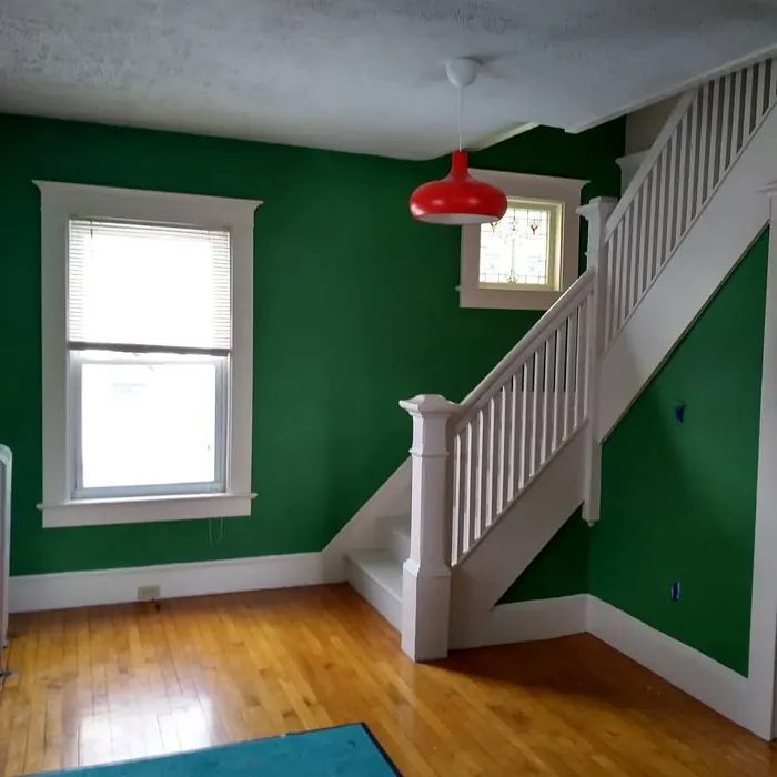 Bunker Hill Green living room interior