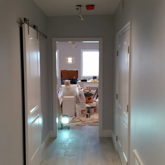 Bunny Gray hallway paint review