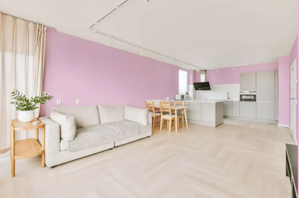 Benjamin Moore Bunny Nose Pink living room interior