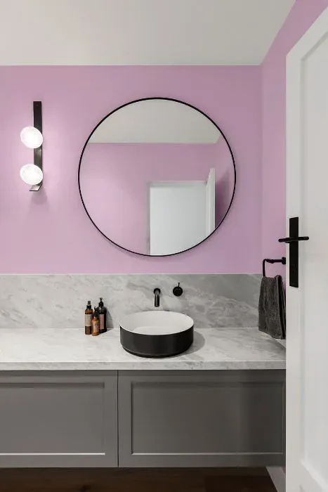 Benjamin Moore Bunny Nose Pink minimalist bathroom