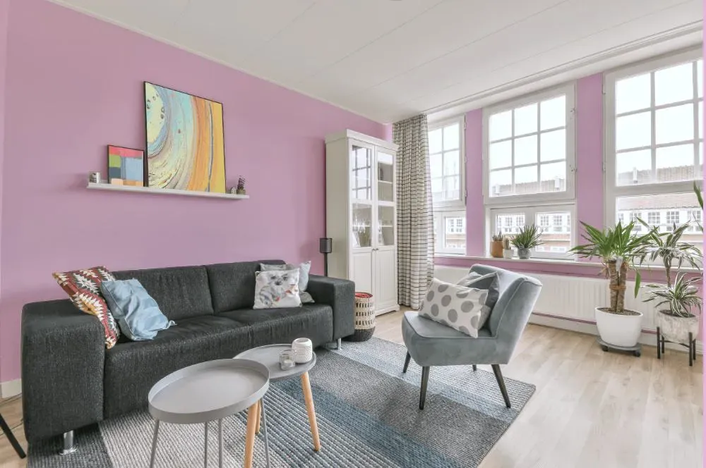 Benjamin Moore Bunny Nose Pink living room walls