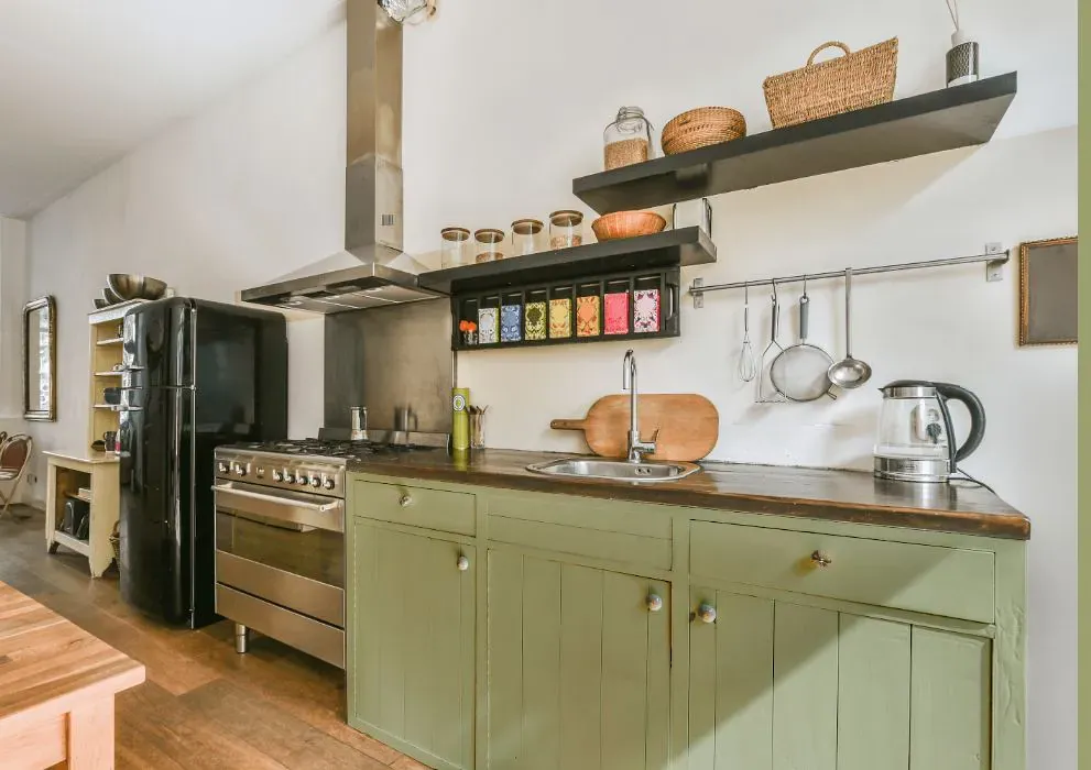 Benjamin Moore Burgess Green kitchen cabinets