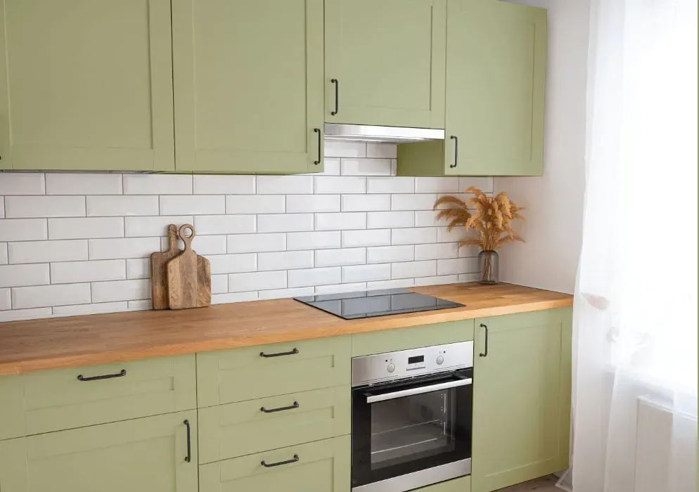Benjamin Moore Burgess Green kitchen cabinets