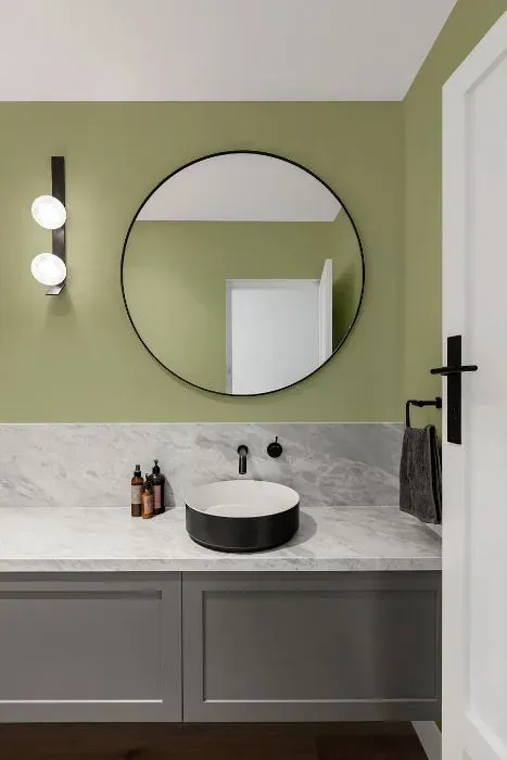 Benjamin Moore Burgess Green minimalist bathroom