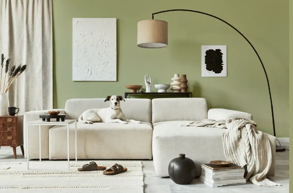 Benjamin Moore Burgess Green cozy living room