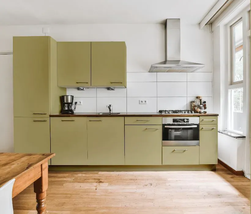 Benjamin Moore Burwell Green kitchen cabinets