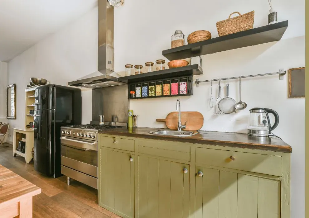 Benjamin Moore Burwell Green kitchen cabinets