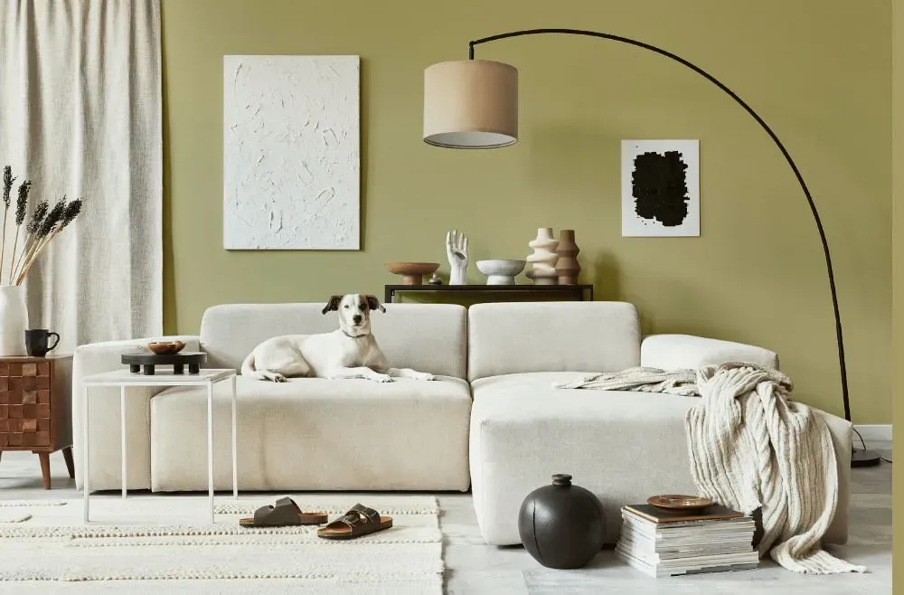 Benjamin Moore Burwell Green cozy living room