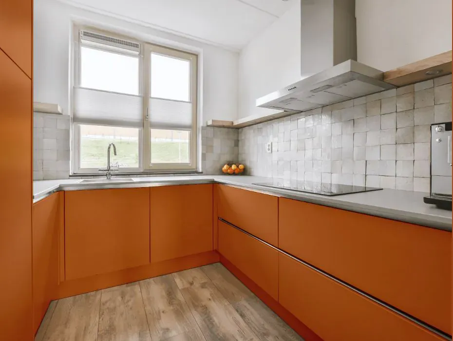 Benjamin Moore Buttered Yam small kitchen cabinets