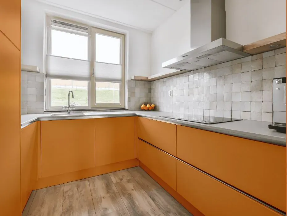Benjamin Moore Butterscotch small kitchen cabinets