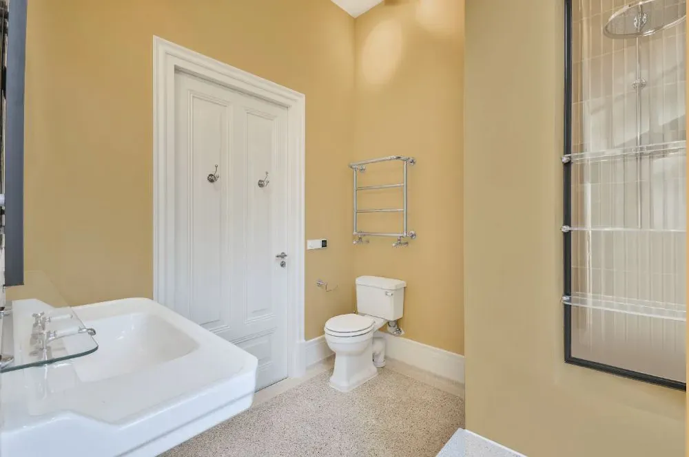 Benjamin Moore Byrd Beige bathroom