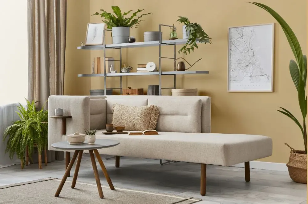 Benjamin Moore Byrd Beige living room