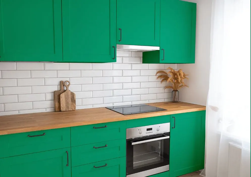 Benjamin Moore Cabana Green kitchen cabinets