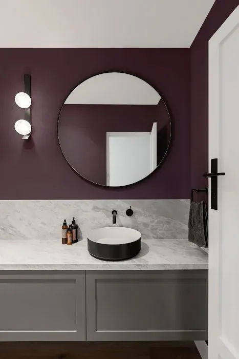 Benjamin Moore Cabernet minimalist bathroom