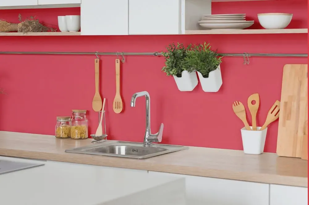 Benjamin Moore Cactus Flower kitchen backsplash