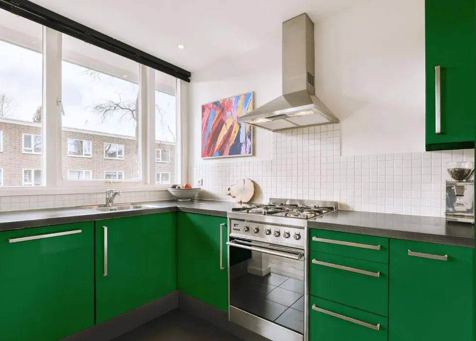 Benjamin Moore Cactus Green kitchen cabinets