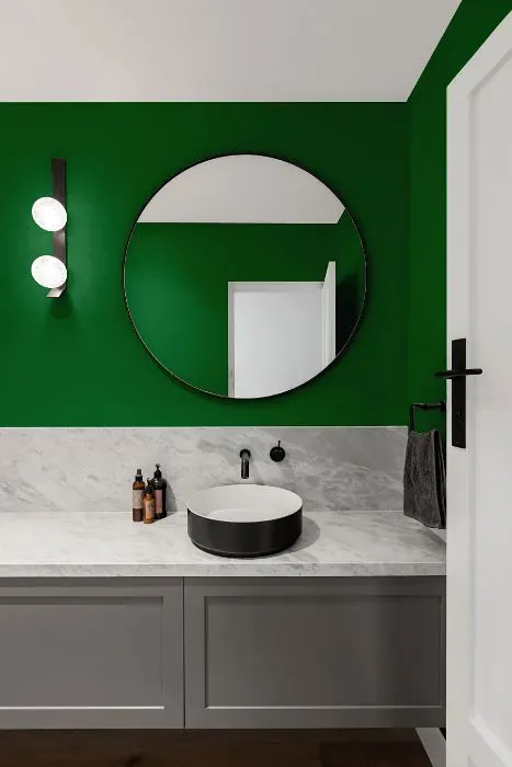 Benjamin Moore Cactus Green minimalist bathroom