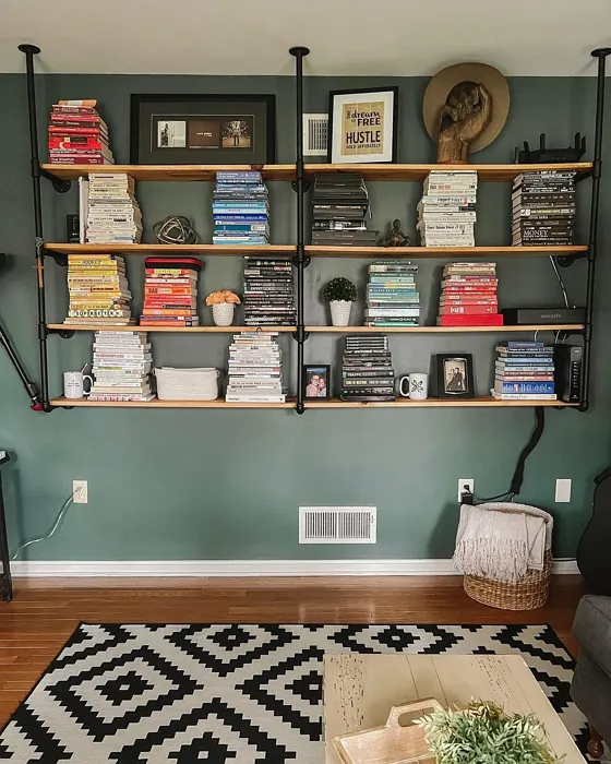 Living Room Shelves
