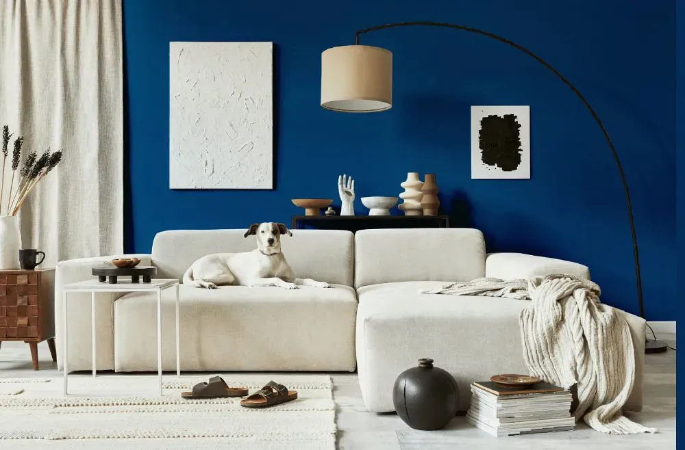 Benjamin Moore California Blue cozy living room